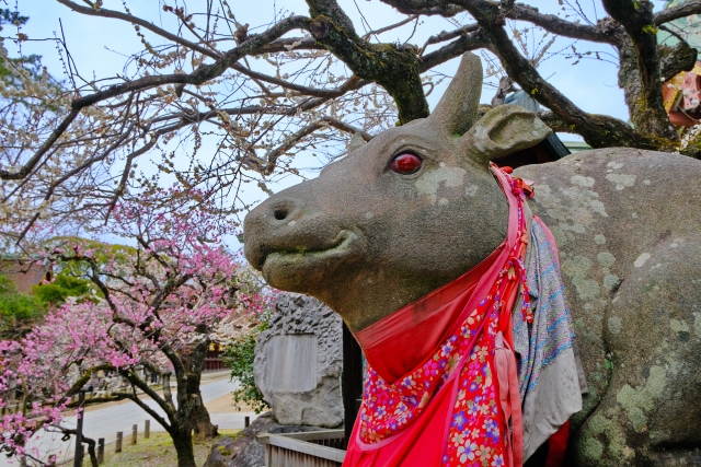 北野天満宮の概要